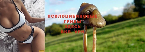 каннабис Бронницы